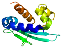 Протеин HSD17B4 PDB 1ikt.png
