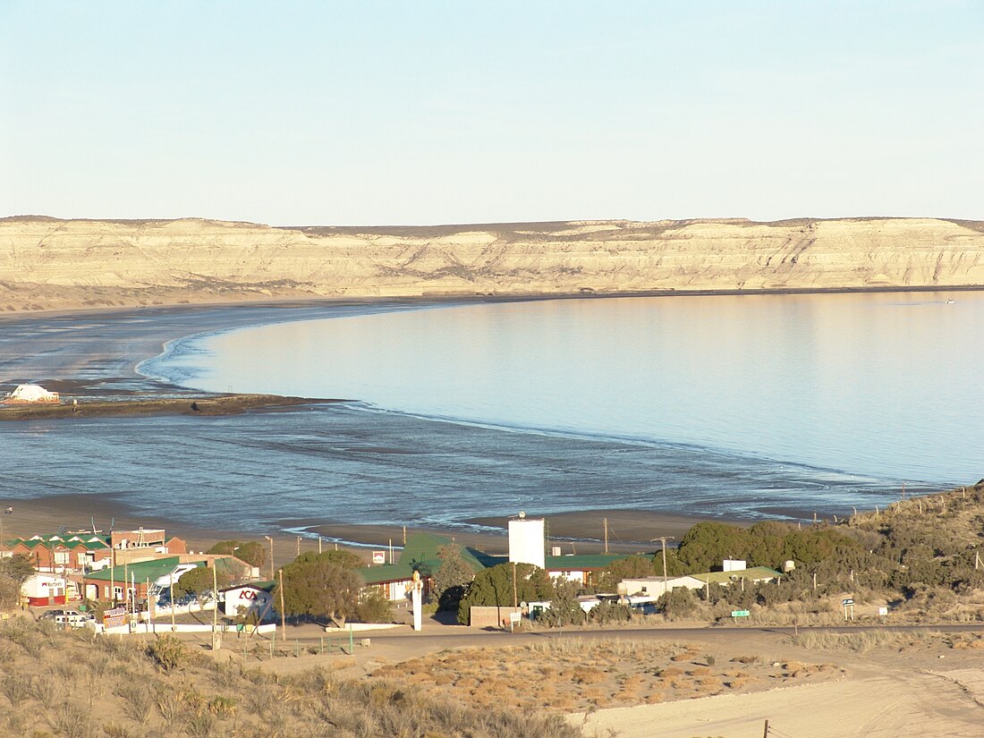 Ecorregión marina golfos norpatagónicos