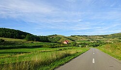 Skyline of Рошиени