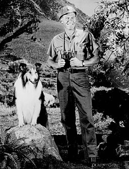 Lassie with Robert Bray as U.S. Forest Ranger Corey Stuart Robert Bray Lassie 1967.JPG