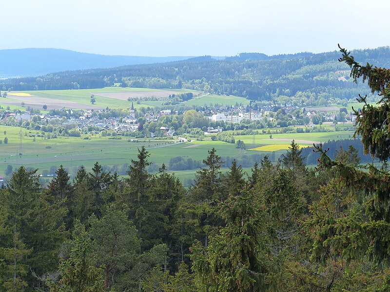 File:Ruine Hirschstein xy 10.JPG