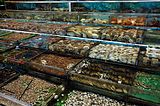 在西貢的海鮮店。