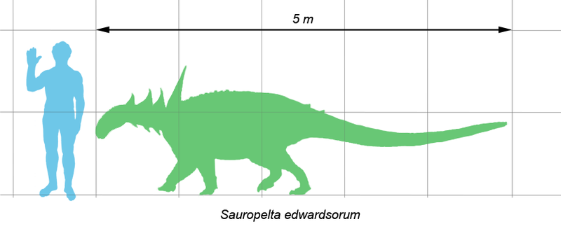 File:Sauropelta.png