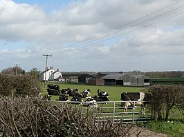 Boerderijen in Saxton