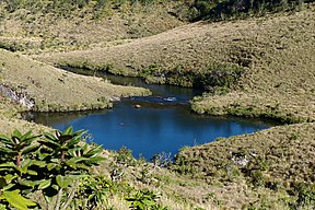 Landschaft im Horton-Plains-Nationalpark