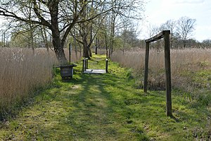 Schleswig-Holstein, Lunden, Landschaftsschutzgebiet und Naturerlebnisraum NIK 5837.jpg