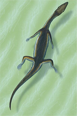 <i>Serpianosaurus</i> Extinct genus of reptiles