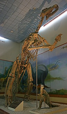 Shantungosaurus 2008 09 07.jpg