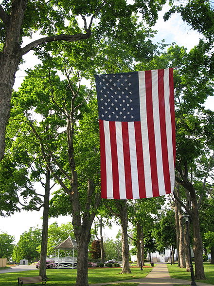Flag flying over the town common