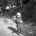 Silva, 3 leta, Planina, gre s koškom z materjo na njivo 1954.jpg