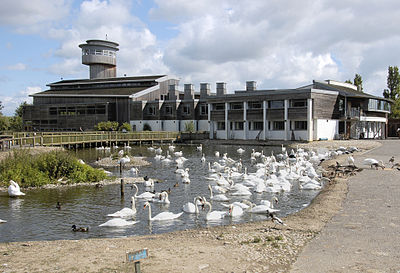 Wildfowl & Wetlands Trust