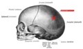 Miniature af versionen fra 21. dec. 2014, 14:25