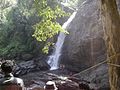 Soochippara waterfalls,Wayanad,kerala.jpg