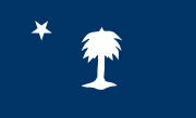 The earliest South Carolina palmetto flag (1830–1860)[3]