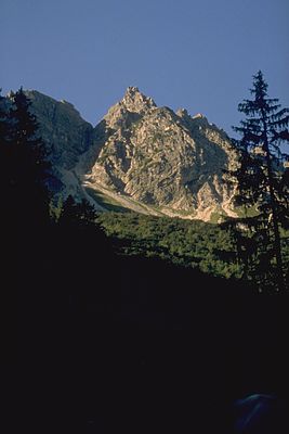 Spichererkopf in the morning on the ascent to the Eck-Alpe