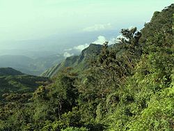 A precipice ("World's End") in the Horton Plains National Park Srilankamountainforest.jpg