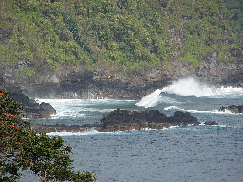 File:Starr-090505-7391-Spathodea campanulata-habit with ocean waves-YMCA Keanae-Maui (24327597993).jpg