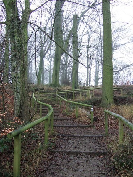 File:Steps in Lady Spencer's Wood - geograph.org.uk - 651973.jpg