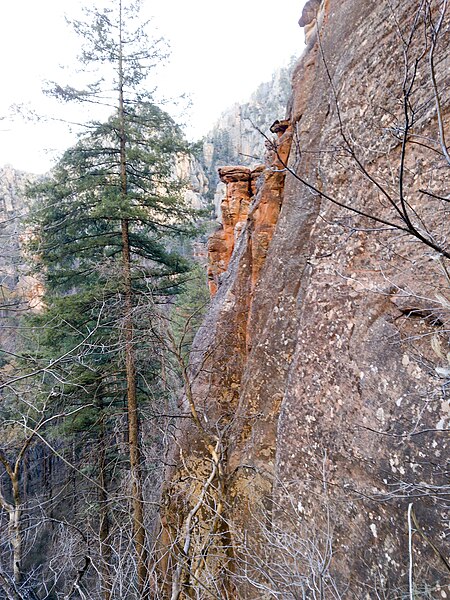 File:Sterling Pass Trail To Vultee Arch Trail, Sedona, Arizona, Coconino County - panoramio (28).jpg