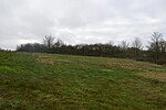 Stone SSSI, Buckinghamshire