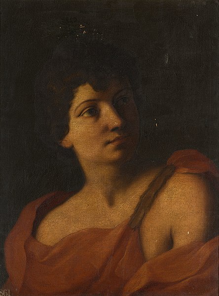 File:Style of Carlo Cignani (Bologna 1628- Forlì 1719) - Head of a Youth - RCIN 406131 - Royal Collection.jpg