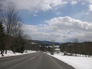 Callicoon, New York Town in New York, United States