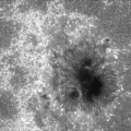 Sunspot from Hinode in Ca II H line 2007-04-30 T121254.gif
