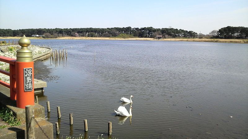 File:Tatara marsh,Tatebayashi City,Gunma Pref.,Japan - panoramio.jpg