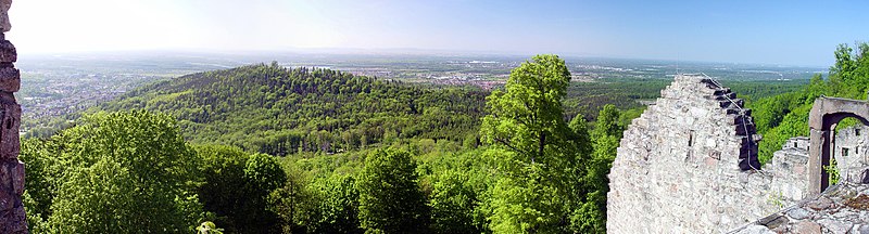 Teilpanorama-Rheintal groß.jpg