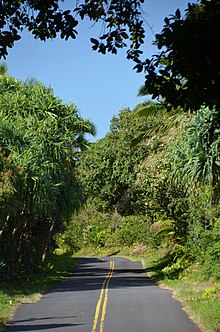 The Red Road in front of the entrance to Kalani, with hala trees The "Red Road" in front of Kalani (a0004883) - panoramio.jpg