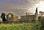 Thumbnail for Roscommon Abbey