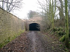 The Dark Arch - geograph.org.uk - 38241.jpg