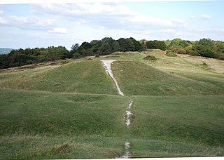 <span class="mw-page-title-main">Devil's Humps, Stoughton</span> Bronze Age barrows