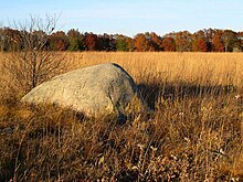 A glacial erratic in the park's prairie section