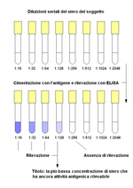 Vignette pour Titre (anticorps)