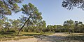 Trail in Domaine de Restinclières, Prades-le-Lez 03.jpg