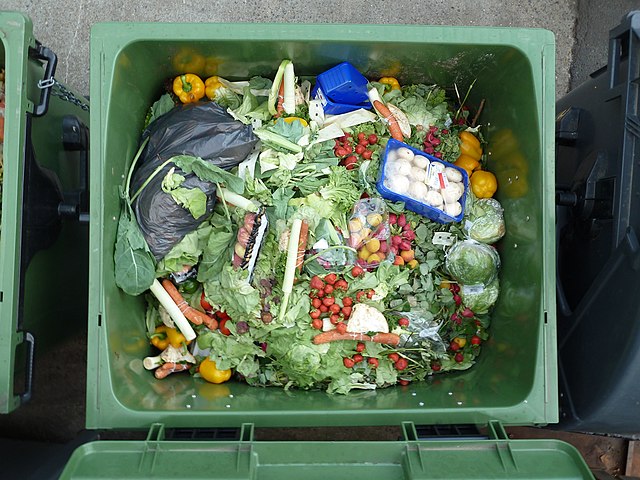 Food waste is costing us big