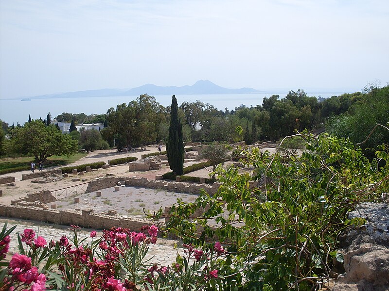 File:Tunis Carthage Villa romaine 2.jpg