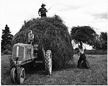 Photographie en noir et blanc d'un vieux tracteur qui supporte une grande quantité de foin. Au dessus de la masse de foin se trouve un agriculteur avec un râteau. Sur le tracteur, un deuxième homme conduit et au sol une troisième personne aide à la récolte.