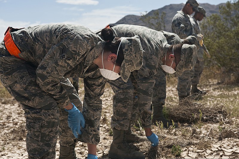 File:U.S. Airmen with a casualty search and recovery team search for items or body parts from a simulated C-17 Globemaster III aircraft crash May 6, 2013, during a casualty search and recovery exercise at Nellis Air 130506-F-UJ108-119.jpg