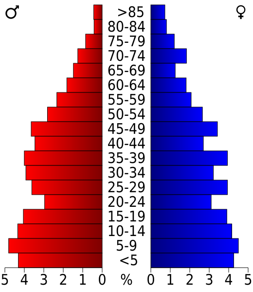 File:USA Dallam County, Texas age pyramid.svg