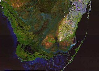 A color satellite image of the southern Everglades, Florida Bay, Atlantic Ocean, and Gulf of Mexico; the Everglades are green with large sections of blue water, with some brown raised areas and the southernmost tip of the South Florida Metropolitan Area in white