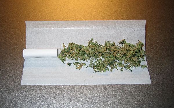 Купить шишки марихуаны спб задержали при употреблении марихуаны