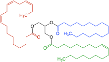 triglycerides saturated and unsaturated