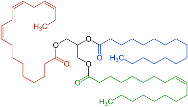 Triglyceride