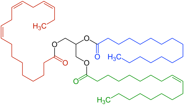 Een structuurformule van een triglyceride. De blauwe vetzuurketen is verzadigd: deze bevat namelijk geen dubbele of drievoudige bindingen. De groene en rode vetzuurketens zijn respectievelijk enkelvoudig en drievoudig onverzadigd. Bovendien bevinden alle dubbele bindingen zich in een cis-configuratie. In het zwart is het veresterde glycerol herkenbaar.