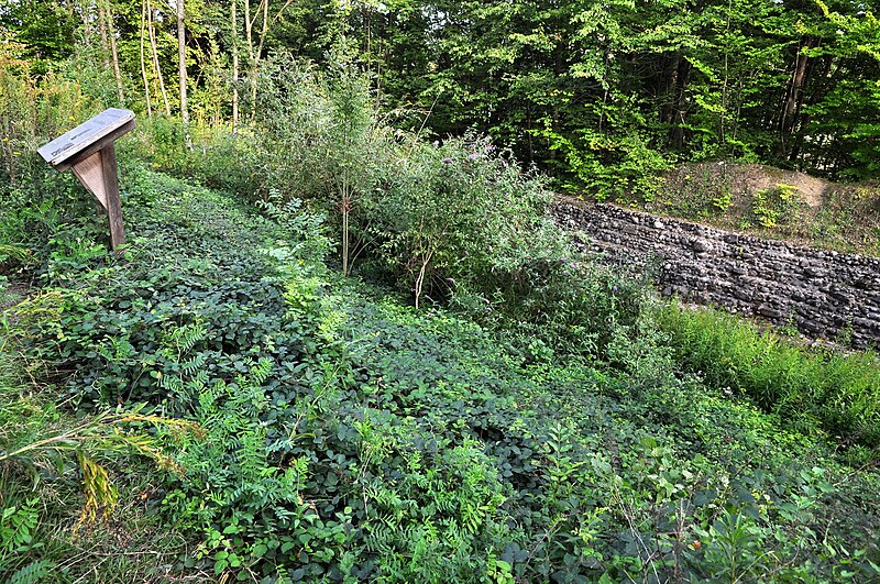 File:Unterengstringen - Glanzenberg, mittelalterliche Burg 2011-09-06 18-25-18.JPG