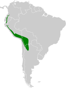 Vanellus resplendens map.svg