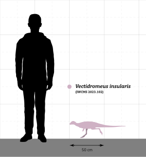 Vectidromeus Size Comparison.svg