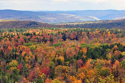 Fall definition. Вермонт штат США. Штат Вермонт природа. Штат Вермонт осень. Леса штата Вермонт.